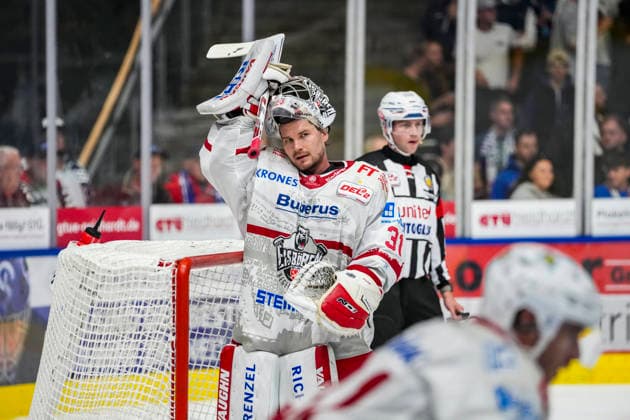 Oskar Autio, Eisbären Regensburg, 31, GER, Ravensburg Towerstars vs. Eisbären Regensburg, Ice Hockey, DEL2 Regular Season, Matchday 2, 2026–2027 Season, September 20, 2026, GER, Ravensburg Towerstars vs. Eisbaeren Regensburg, Ice Hockey, DEL2 Regular Season, Matchday 2, 2026–2027 Season, September 20, 2026, Ravensburg Copyright: xEibner-Pressefoto MaximilianxRistx EP_MRT