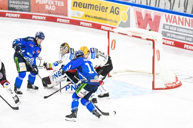 Tyler Madden of the Straubing Tigers misses a chance against Kristers Gudlevskis of the Bremerhaven Penguins, Men s Ice Hockey, German Ice Hockey League, Penny DEL, Matchday 5, 2026–2027 season on October 2, 2026, at the Eisstadion am Pulverturm, Straubing Tigers (blue) vs. Pinguins Bremerhaven (white)