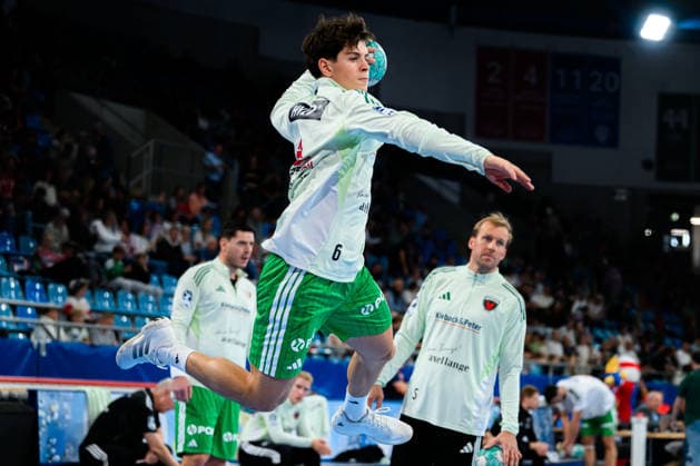 Bietigheim HBL 26 27 SG BBM Bietigheim Fuechse Berlin Leo Prantner Berlin Bietigheim Bissingen Egetrans Arena Baden-Württemberg Germany