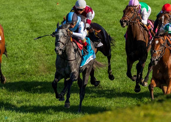 HORSE RACING 2026: Coolmore Turf Mile Day Keeneland OCT 03 October 3, 2026, USA: Classic Q (9) ridden by John Velazquez wins the First Lady on Coolmore Turf Mile Day on October 3, 2026. Candice Chavez Eclipse Sportswire CSM(Credit Image: Â {Serial Cal Media) USA EDITORIAL USE ONLY Copyright: xx ZUMA-20261003_faf_cs17_252.jpg {Serialx csmphotothree529677