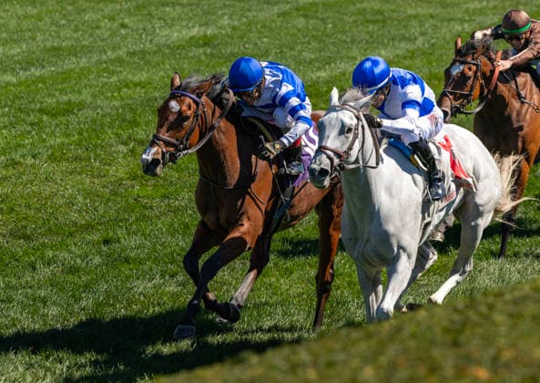 HORSE RACING 2026: Coolmore Turf Mile Day Keeneland OCT 03 October 3, 2026, USA: Siouxse (10) ridden by John Velazquez wins an Allowance on Coolmore Turf Mile Day on October 3, 2026. Candice Chavez Eclipse Sportswire CSM(Credit Image: Â {Serial Cal Media) USA EDITORIAL USE ONLY Copyright: xx ZUMA-20261003_faf_cs17_298.jpg {Serialx csmphotothree530236