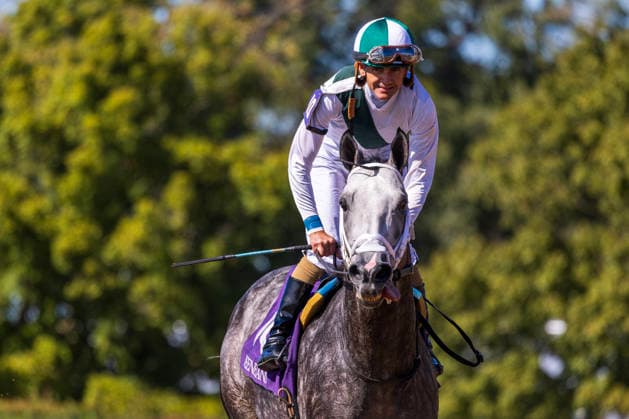 October 3, 2026, Lexington, Kentucky, USA: Who Dey (10) ridden by Brian Hernandez Jr. wins an allowance optional claiming race at Keeneland Race Course on October 3, 2026. Eclipse Sportswire CSM Lexington USA - ZUMAcs17 20261003_faf_cs17_342 Copyright: xCaseyxLaughterx