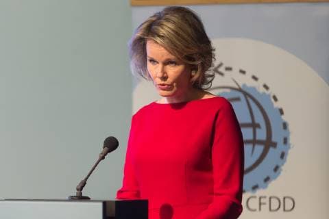 Queen Mathilde of Belgium delivers a speech at the 25th anniversary of the CFDD-FRDO federal council for sustainable development, in Brussels, Friday 12 October 2018. JAMESxARTHURxGEKIERE 05445811