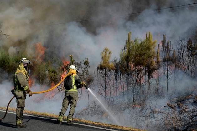 Bilder des Jahres 2024, News 08 August News Themen der Woche KW34 News Bilder des Tages Forest fire in the municipality of San Cristovo de Cea Ourense Several firefighters try to put out the fire during the forest fire in the parish of Oseira, on August 20, 2024, in San Cristovo de Cea, Ourense, Galicia Spain The flames, which started around 16 30 hours, have burned an area of about 20 hectares Although at first they moved to the scene two agents, six brigades, four motorbombas, a shovel, a technician and three helicopters, later more resources had to be added to reach three technicians, nine agents, fourteen brigades, eight motor pumps, two shovels, eight airplanes and eight helicopters The column of smoke generated by the flames can be seen from several kilometers away 20 AUGUST 2024 FIRE OSEIRA SAN CRISTOVO DE CEA OURENSE Copyright: xRosaxVeigax 6165086