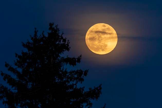 Easter Moon, Pink Moon, full moon in the night sky over Munich, night April 12 13, 2025 Germany, Munich, April 12 13, 2025, Easter Moon, Pink Moon, full moon in the night sky over Munich, rises on the horizon over Munich, slightly veiled with a yard