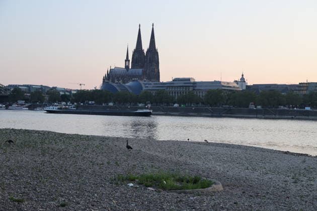 Cologne, Germany, Nature, Climate, Summer, Drought, Rhine, Low Water Levels, Cologne, North Rhine-Westphalia, Germany, August 6, 2026 The water level of the Rhine in Cologne is alarmingly low, allowing only limited navigation GER, Nature, Climate, Summer, Drought, Rhine, Low Water, Cologne, North Rhine-Westphalia, Germany, August 6, 2026 Copyright: xEibner-Pressefoto JuergenxAugstx EP_JAT