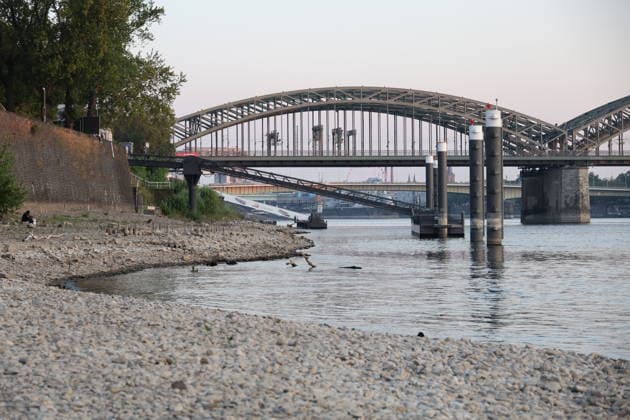 Cologne, Germany, Nature, Climate, Summer, Drought, Rhine, Low Water Levels, Cologne, North Rhine-Westphalia, Germany, August 6, 2026 The water level of the Rhine in Cologne is alarmingly low, allowing only limited navigation GER, Nature, Climate, Summer, Drought, Rhine, Low Water, Cologne, North Rhine-Westphalia, Germany, August 6, 2026 Copyright: xEibner-Pressefoto JuergenxAugstx EP_JAT