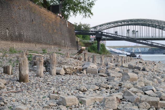 Cologne, Germany, Nature, Climate, Summer, Drought, Rhine, Low Water Levels, Cologne, North Rhine-Westphalia, Germany, August 6, 2026 The water level of the Rhine in Cologne is alarmingly low, allowing only limited navigation GER, Nature, Climate, Summer, Drought, Rhine, Low Water, Cologne, North Rhine-Westphalia, Germany, August 6, 2026 Copyright: xEibner-Pressefoto JuergenxAugstx EP_JAT