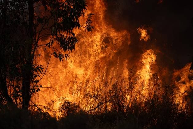 The wildfire in Niebla, Huelva, remains active, with more than 4,000 hectares affected The wildfire in Niebla, Huelva, remains active, with more than 4,000 hectares affected August 8, 2026, in Niebla, Huelva, Andalusia, Spain The wildfire that broke out this past Thursday in the Raboconejo area of Niebla, Huelva, has spread to over 4,000 hectares, and the emergency phase—Operational Level 2—remains in effect, due to constantly shifting winds that are hampering the efforts of more than 300 firefighters working to extinguish it. AUGUST 8, 2026 Niebla, Huelva, Andalusia, Spain Niebla, Huelva, Andalusia, Spain Spain Copyright: xClaraxCarrascox 7706213