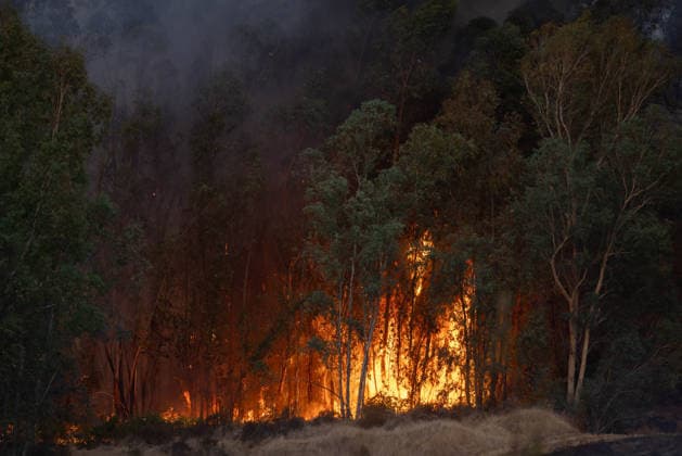 The wildfire in Niebla, Huelva, remains active, with more than 4,000 hectares affected The wildfire in Niebla, Huelva, remains active, with more than 4,000 hectares affected As of August 8, 2026, in Niebla, Huelva, Andalusia, Spain The wildfire that broke out this past Thursday in the Raboconejo area of Niebla, Huelva, has spread to over 4,000 hectares, and the emergency phase—Operational Level 2—remains in effect, due to the constantly shifting winds that are hampering the efforts of more than 300 firefighters working to extinguish it. AUGUST 8, 2026 Niebla, Huelva, Andalusia, Spain Niebla, Huelva, Andalusia, Spain Spain Copyright: xClaraxCarrascox 7706204