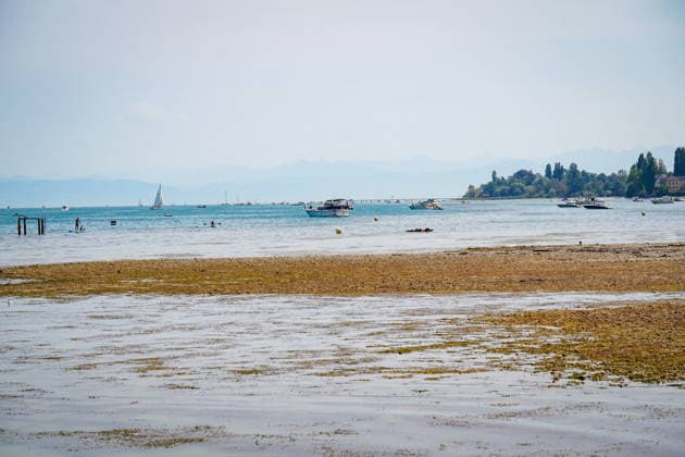 Lake Constance near Bottighofen, Canton of Thurgau, Switzerland; Extensive shallow-water zone and exposed gravel banks due to low water levels in Lake Constance; Total, low water, Lake Constance shoreline, gravel bank, shallow water, drought, climate change, heat, extreme weather, environment, nature, wate Copyright: xJOERANxSTEINSIEKx