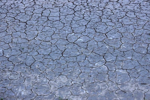 August 13, 2026, Germany, North Rhine-Westphalia, Weather, Heat, Rivers, Low Water Levels, Drought, Due to the heat, the water level of the Rhine in Düsseldorf has dropped dramatically, which is becoming increasingly problematic for ships; dried-up riverbed, Germany Copyright: xD.xKerlekin SnowfieldxPhotographyx SF130826RheinD11