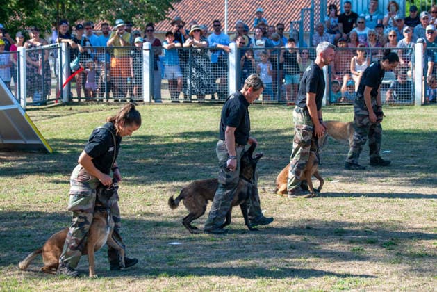 French Center Training Gendarmerie Dog Teams - Gramat The Centre National d’Instruction Cynophile de la Gendarmerie (CNICG) in Gramat, Lot, France on Undated, the sole French center training gendarmerie canine teams since 1945, operates across 14 hectares with nine kennels accommodating up to 150 dogs simultaneously, training 350 students annually in intensive courses to form handler-dog pairs, with dogs—primarily Belgian Malinois—specializing in person search, narcotics detection, explosives, weapons, and electronic media detection. August 13, 2026. Photo by Denis Prezat ABACAPRESS.COM Gramat France Copyright: xPrezatxDenis ABACAx