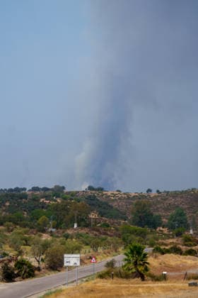 Aznalcóllar Watches with Fear as the Niebla Fire Spreads Images of the Niebla fire spreading in the municipality of Aznalcóllar August 14, 2026, in Aznalcóllar, Seville, Andalusia, Spain The Niebla fire in Huelva, which has been burning since August 6 and has affected more than 31,000 hectares, has entered the municipality of Aznalcóllar, Seville, via the Charcofrío area. This Friday, the situation worsened in the area; the fire crossed the road toward El Álamo and reached El Campillo and Madronalejo. August 14, 2026. Francisco J. Aznalcollar, Seville, Andalusia; Aznalcóllar, Seville, Andalusia, Spain Copyright: xFranciscoxJ.xOlmox 7714157