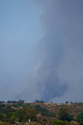 Aznalcóllar Watches with Fear as the Niebla Fire Spreads Images of the Niebla fire spreading in the municipality of Aznalcóllar August 14, 2026, in Aznalcóllar, Seville, Andalusia, Spain The Niebla fire in Huelva, which has been burning since August 6 and has affected more than 31,000 hectares, has entered the municipality of Aznalcóllar, Seville, via the Charcofrío area. This Friday, the situation worsened in the area; the fire crossed the road toward El Álamo and reached El Campillo and Madronalejo. August 14, 2026. Francisco J. Aznalcollar, Seville, Andalusia; Aznalcóllar, Seville, Andalusia, Spain Copyright: xFranciscoxJ.xOlmox 7714158