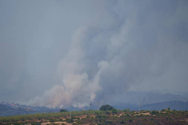 Aznalcóllar Watches with Fear as the Niebla Fire Spreads Images of the Niebla fire spreading in the municipality of Aznalcóllar August 14, 2026, in Aznalcóllar, Seville, Andalusia, Spain The Niebla fire in Huelva, which has been burning since August 6 and has affected more than 31,000 hectares, has entered the municipality of Aznalcóllar, Seville, via the Charcofrío area. This Friday, the situation worsened in the area; the fire crossed the road toward El Álamo and reached El Campillo and Madronalejo. August 14, 2026. Francisco J. Aznalcollar, Seville, Andalusia; Aznalcóllar, Seville, Andalusia, Spain Copyright: xFranciscoxJ.xOlmox 7714160
