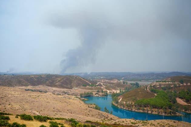 Aznalcóllar Watches with Fear as the Niebla Fire Spreads Images of the Niebla fire spreading in the municipality of Aznalcóllar August 14, 2026, in Aznalcóllar, Seville, Andalusia, Spain The Niebla fire in Huelva, which has been burning since August 6 and has affected more than 31,000 hectares, has entered the municipality of Aznalcóllar, Seville, via the Charcofrío area. This Friday, the situation worsened in the area; the fire crossed the road toward El Álamo and reached El Campillo and Madronalejo. August 14, 2026. Francisco J. Aznalcollar, Seville, Andalusia; Aznalcóllar, Seville, Andalusia, Spain Copyright: xFranciscoxJ.xOlmox 7714164