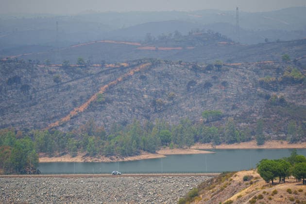 Aznalcóllar Watches with Fear as the Niebla Fire Spreads Images of the Niebla fire spreading in the municipality of Aznalcóllar August 14, 2026, in Aznalcóllar, Seville, Andalusia, Spain The Niebla fire in Huelva, which has been burning since August 6 and has affected more than 31,000 hectares, has entered the municipality of Aznalcóllar, Seville, via the Charcofrío area. This Friday, the situation worsened in the area; the fire crossed the road toward El Álamo and reached El Campillo and Madronalejo. August 14, 2026. Francisco J. Aznalcollar, Seville, Andalusia; Aznalcóllar, Seville, Andalusia, Spain Copyright: xFranciscoxJ.xOlmox 7714167