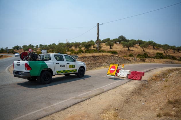 Aznalcóllar watches with fear as the Niebla fire spreads Roads cut off by the advancing Niebla fire in the municipality of Aznalcóllar August 14, 2026, in Aznalcóllar, Seville, Andalusia, Spain The Niebla, Huelva, wildfire—active since August 6 and having affected more than 31,000 hectares— has entered the municipality of Aznalcóllar, Seville, via the Charcofrío area. On Friday, the situation worsened in the area; the fire crossed the road toward El Álamo and reached El Campillo and Madronalejo. August 14, 2026. Francisco J. Aznalcollar, Seville, Andalusia; Aznalcóllar, Seville, Andalusia, Spain Copyright: xFranciscoxJ.xOlmox 7714170