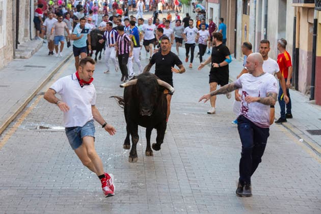 August 15, 2026, Penafiel, Valladolid, USA: Villagers coax the bulls during the running of the bulls (encierro) at the Fiestas de Nuestra Senora y San Roque in Penafiel, Spain on Saturday, August 15, 2026. The annual festival, taking place this year on August 14-18, includes traditional processions, bullfighting and lively celebrations. Penafiel USA - ZUMAg235 20260815_zap_g235_001 Copyright: xPaulxChristianxGordonx