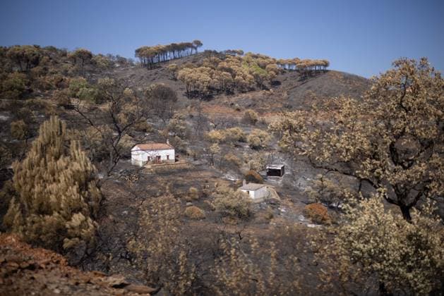 The Niebla Fire Leaves a Devastating Landscape in Berrocal, Huelva The Niebla Fire Leaves a Devastating Landscape in Berrocal, Huelva August 15, 2026, in Berrocal, Huelva, Andalusia, Spain The fire in Niebla, Huelva—which has burned more than 38,000 hectares after raging for over a week— has hit the municipality of Berrocal hard, where the flames have ravaged more than 90% of its municipal area, leaving a desolate landscape of charcoal and ashes. August 15, 2026, Berrocal, Huelva, Andalusia, Sp Berrocal, Huelva, Andalusia, Sp Spain Copyright: xClaraxCarrascox 7715624