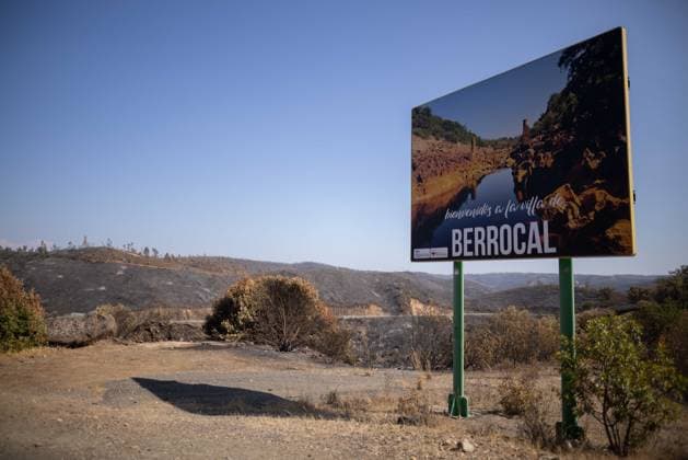 The Niebla Fire Leaves a Devastating Landscape in Berrocal, Huelva The Niebla Fire Leaves a Devastating Landscape in Berrocal, Huelva August 15, 2026, in Berrocal, Huelva, Andalusia, Spain The fire in Niebla, Huelva—which has burned more than 38,000 hectares after raging for over a week— has hit the municipality of Berrocal hard, where the flames have ravaged more than 90% of its municipal area, leaving a desolate landscape of charcoal and ashes. August 15, 2026, Berrocal, Huelva, Andalusia, Sp Berrocal, Huelva, Andalusia, Sp Spain Copyright: xClaraxCarrascox 7715627