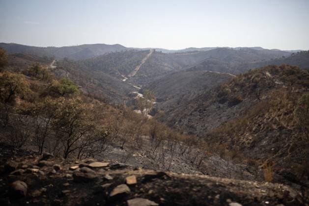 The Niebla Fire Leaves a Devastating Landscape in Berrocal, Huelva The Niebla Fire Leaves a Devastating Landscape in Berrocal, Huelva August 15, 2026, in Berrocal, Huelva, Andalusia, Spain The fire in Niebla, Huelva—which has burned more than 38,000 hectares after raging for over a week— has hit the municipality of Berrocal hard, where the flames have ravaged more than 90% of its municipal area, leaving a desolate landscape of charcoal and ashes. August 15, 2026, Berrocal, Huelva, Andalusia, Sp Berrocal, Huelva, Andalusia, Sp Spain Copyright: xClaraxCarrascox 7715629