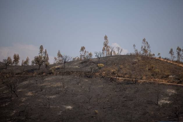 The Niebla Fire Leaves a Devastating Landscape in Berrocal, Huelva The Niebla Fire Leaves a Devastating Landscape in Berrocal, Huelva August 15, 2026, in Berrocal, Huelva, Andalusia, Spain The fire in Niebla, Huelva—which has burned more than 38,000 hectares after raging for over a week— has hit the municipality of Berrocal hard, where the flames have ravaged more than 90% of its municipal area, leaving a desolate landscape of charcoal and ashes. August 15, 2026, Berrocal, Huelva, Andalusia, Sp Berrocal, Huelva, Andalusia, Sp Spain Copyright: xClaraxCarrascox 7715630