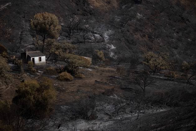 The Niebla Fire Leaves a Devastating Landscape in Berrocal, Huelva The Niebla Fire Leaves a Devastating Landscape in Berrocal, Huelva August 15, 2026, in Berrocal, Huelva, Andalusia, Spain The fire in Niebla, Huelva—which has burned more than 38,000 hectares after raging for over a week— has hit the municipality of Berrocal hard, where the flames have ravaged more than 90% of its municipal area, leaving a desolate landscape of charcoal and ashes. August 15, 2026, Berrocal, Huelva, Andalusia, Sp Berrocal, Huelva, Andalusia, Sp Spain Copyright: xClaraxCarrascox 7715633