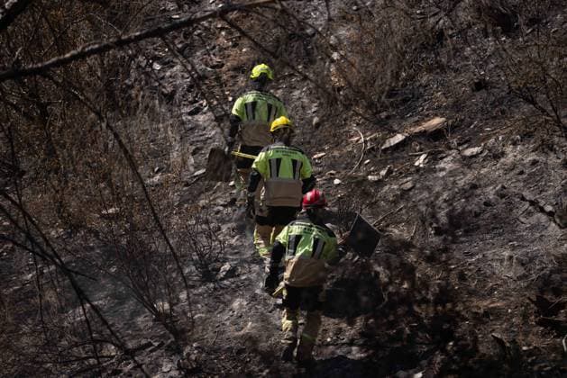 The Niebla Fire Leaves a Devastating Landscape in Berrocal, Huelva Firefighters are battling the Niebla fire in the municipality of Berrocal, Huelva August 15, 2026, in Berrocal, Huelva, Andalusia, Spain The Niebla, Huelva, fire—which has burned more than 38,000 hectares after raging for over a week— has hit the municipality of Berrocal hard, where the flames have ravaged more than 90% of its municipal area, leaving a desolate landscape of charcoal and ashes. August 15, 2026, Berrocal, Huelva, Andalusia, Sp Berrocal, Huelva, Andalusia, Sp Spain Copyright: xClaraxCarrascox 7715639