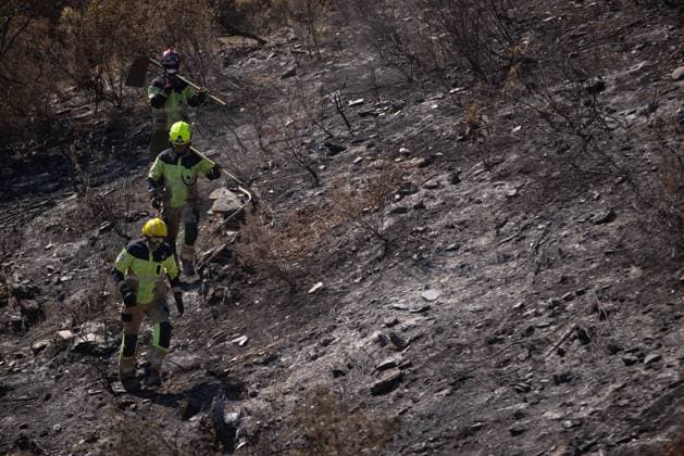 The Niebla Fire Leaves a Devastating Landscape in Berrocal, Huelva Firefighters are battling the Niebla fire in the municipality of Berrocal, Huelva August 15, 2026, in Berrocal, Huelva, Andalusia, Spain The Niebla, Huelva, fire—which has burned more than 38,000 hectares after raging for over a week— has hit the municipality of Berrocal hard, where the flames have ravaged more than 90% of its municipal area, leaving a desolate landscape of charcoal and ashes. August 15, 2026, Berrocal, Huelva, Andalusia, Sp Berrocal, Huelva, Andalusia, Sp Spain Copyright: xClaraxCarrascox 7715642