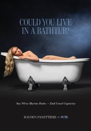 Tragic Hayden Panettiere stars in PETA campaign to save dolphins and whales in captivity that she shot two weeks before her death *BYLINE MUST CREDIT: PETA Mega* Tragic Hayden Panettiere stars in a PETA campaign to save dolphins and whales in captivity that the actress shot just two weeks before her death., , Animal lover and longtime animal rights advocate Hayden posed seemingly naked in a bathtub to speak out against marine parks holding dolphins and whales in captivity., , In the campaign video, an emotional Hayden says: Imagine spending your entire life in a bathtub. That’s what it’s like for dolphins and whales in tiny tanks at marine parks. , , She continues: We can end this, you and me. , , Hayden appears to have tears in her eyes Copyright: xThexMegaxAgencyxPETA Megax