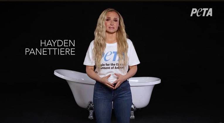 Tragic Hayden Panettiere stars in PETA campaign to save dolphins and whales in captivity that she shot two weeks before her death *BYLINE MUST CREDIT: PETA Mega* Tragic Hayden Panettiere stars in a PETA campaign to save dolphins and whales in captivity that the actress shot just two weeks before her death., , Animal lover and longtime animal rights advocate Hayden posed seemingly naked in a bathtub to speak out against marine parks holding dolphins and whales in captivity., , In the campaign video, an emotional Hayden says: Imagine spending your entire life in a bathtub. That’s what it’s like for dolphins and whales in tiny tanks at marine parks. , , She continues: We can end this, you and me. , , Hayden appears to have tears in her eyes Copyright: xThexMegaxAgencyxPETA Megax
