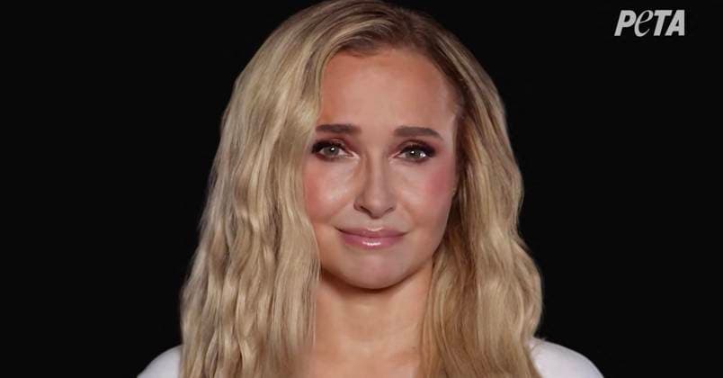 Tragic Hayden Panettiere stars in PETA campaign to save dolphins and whales in captivity that she shot two weeks before her death *BYLINE MUST CREDIT: PETA Mega* Tragic Hayden Panettiere stars in a PETA campaign to save dolphins and whales in captivity that the actress shot just two weeks before her death., , Animal lover and longtime animal rights advocate Hayden posed seemingly naked in a bathtub to speak out against marine parks holding dolphins and whales in captivity., , In the campaign video, an emotional Hayden says: Imagine spending your entire life in a bathtub. That’s what it’s like for dolphins and whales in tiny tanks at marine parks. , , She continues: We can end this, you and me. , , Hayden appears to have tears in her eyes Copyright: xThexMegaxAgencyxPETA Megax