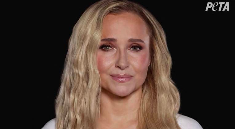Tragic Hayden Panettiere stars in PETA campaign to save dolphins and whales in captivity that she shot two weeks before her death *BYLINE MUST CREDIT: PETA Mega* Tragic Hayden Panettiere stars in a PETA campaign to save dolphins and whales in captivity that the actress shot just two weeks before her death., , Animal lover and longtime animal rights advocate Hayden posed seemingly naked in a bathtub to speak out against marine parks holding dolphins and whales in captivity., , In the campaign video, an emotional Hayden says: Imagine spending your entire life in a bathtub. That’s what it’s like for dolphins and whales in tiny tanks at marine parks. , , She continues: We can end this, you and me. , , Hayden appears to have tears in her eyes Copyright: xThexMegaxAgencyxPETA Megax
