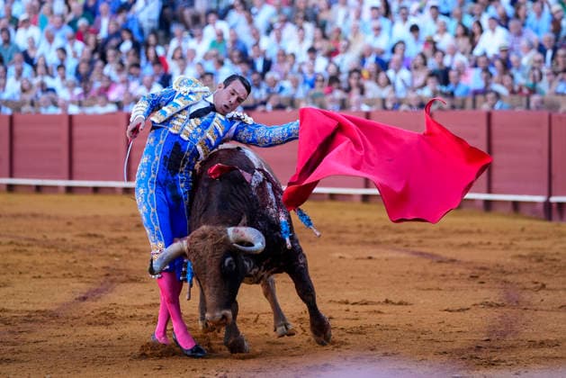 Second Subscription Bullfight of the San Miguel Fair in Seville: José María Manzanares during the second subscription bullfight of the San Miguel Fair at the Real Maestranza de Caballería on September 25, 2026, in Seville, Andalusia, Spain José María Manzanares, Alejandro Talavante, and Juan Ortega fought bulls from Puerto de San Lorenzo and Ventana de San Lorenzo during the first subscription bullfight of the San Miguel Fair on September 25, 2026, in Seville, Andalusia, Spain Copyright: xJoaquinxCorcherox 7800433