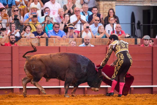 Second Subscription Bullfight of the San Miguel Fair in Seville: Alejandro Talavante during the second subscription bullfight of the San Miguel Fair at the Real Maestranza de Caballería on September 25, 2026, in Seville, Andalusia, Spain José María Manzanares, Alejandro Talavante, and Juan Ortega fought bulls from Puerto de San Lorenzo and Ventana de San Lorenzo during the first subscription bullfight of the San Miguel Fair on September 25, 2026, in Seville, Andalusia, Spain Copyright: xJoaquinxCorcherox 7800455