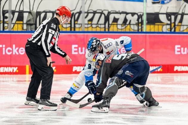 Linesperson Jonas Reinold executes a faceoff between Myles Powell ERC Ingolstadt Panther, 9 and Patrick Hager EHC Red Bull Muenchen, 52 GER, EHC Red Bull Muenchen vs ERC Ingolstadt, Ice Hockey, DEL, Matchday 24, Season 2024 2025, 08 12 2024 GER, EHC Red Bull Muenchen vs ERC Ingolstadt, Ice Hockey, DEL, Matchday 24, Season 2024 2025, 08 12 2024 Muenchen Copyright: xEibner-Pressefoto HeikexFeinerx EP_HFR