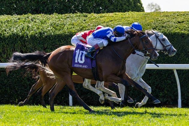 HORSE RACING 2026: Coolmore Turf Mile Day Keeneland OCT 03 October 3, 2026, Lexington, Kentucky, USA: Siouxse (10) ridden by John Velazquez wins an allowance at Keeneland Race Course on October 3, 2026. Casey Laughter Eclipse Sportswire CSM(Credit Image: Â Casey Laughter Cal Media) Lexington Kentucky USA EDITORIAL USE ONLY Copyright: xx ZUMA-20261003_faf_cs17_345.jpg CaseyxLaughterx csmphotothree530686