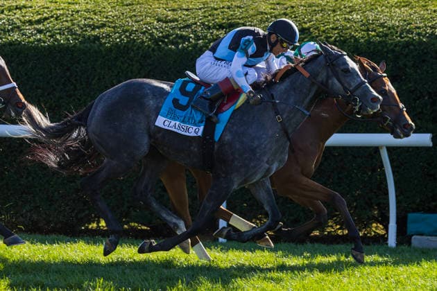 HORSE RACING 2026: Coolmore Turf Mile Day Keeneland OCT 03 October 3, 2026, Lexington, Kentucky, USA: Classic Q (9) ridden by John Velazquez wins the First Lady Stakes (Grade 1) at Keeneland Race Course on October 3, 2026. Casey Laughter Eclipse Sportswire CSM(Credit Image: Â Cal Media) Lexington Kentucky USA EDITORIAL USE ONLY Copyright: xx ZUMA-20261003_faf_cs17_341.jpg x csmphotothree530690