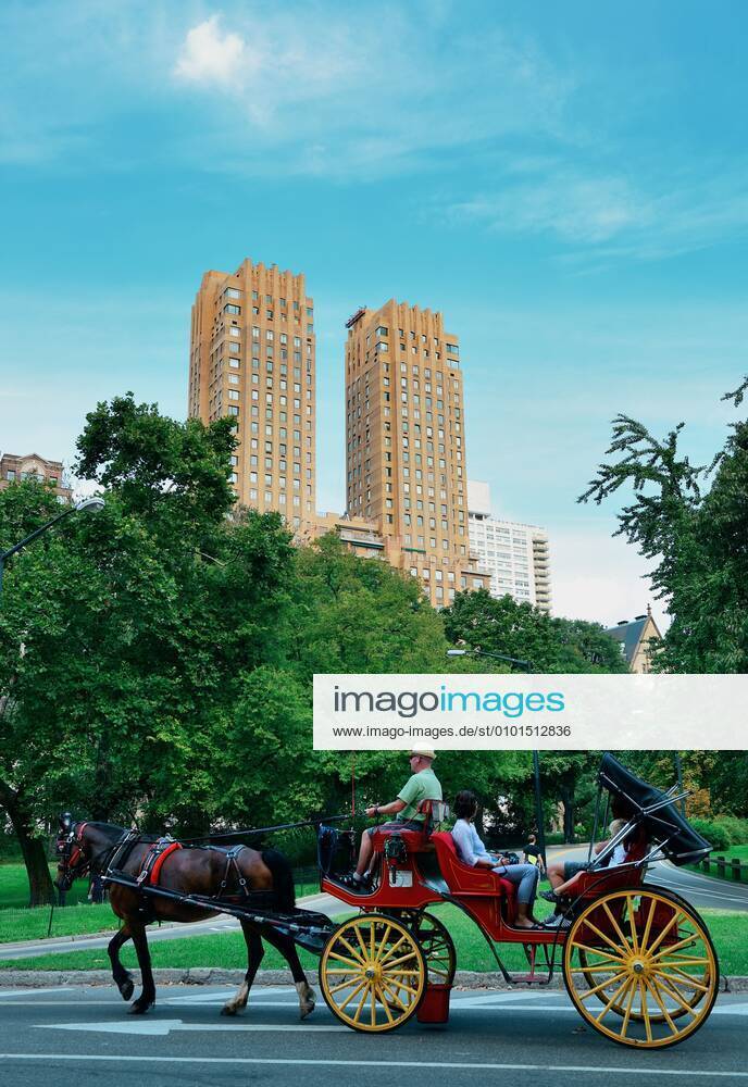 Central Park Spring and horse carriage in midtown Manhattan New York City 202820579259711499