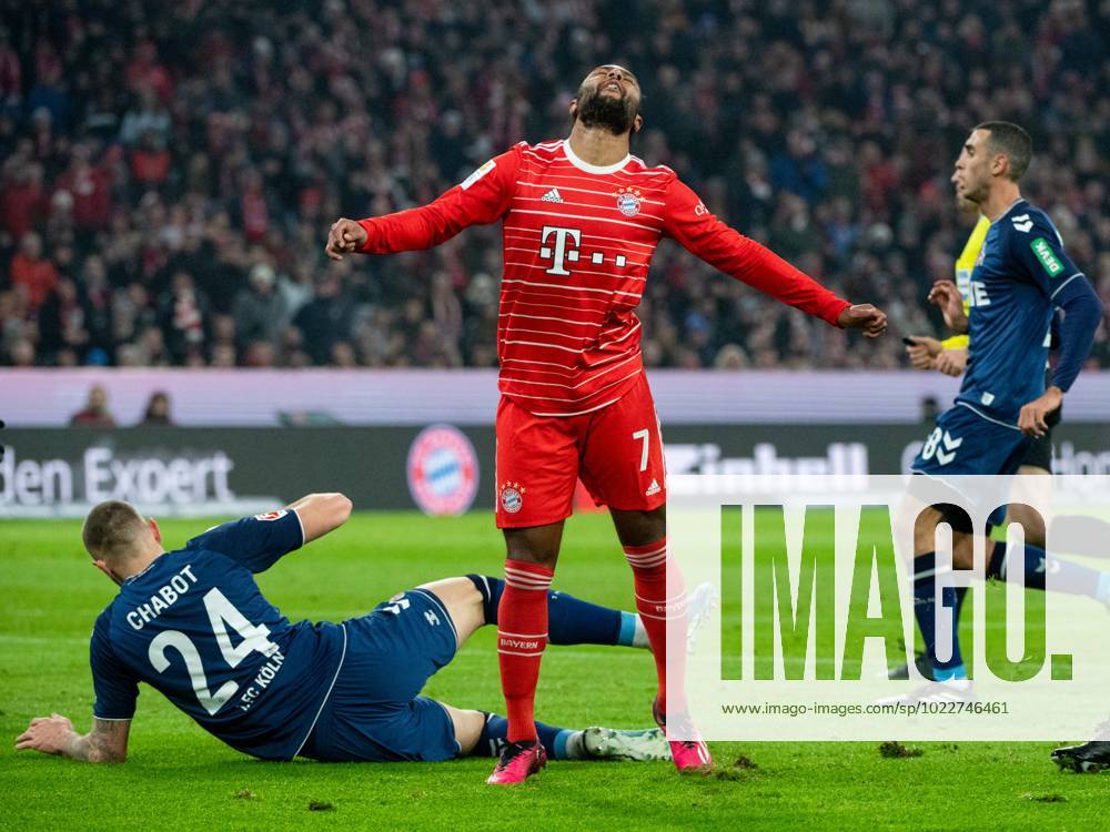 Serge Gnabry FC Bayern Muenchen, 07 aergert himself, on the ground Jeff Chabot 1 FC Koeln, 24 , GER, FC Bayern Muenchen vs 1 FC Koeln, 1 Fussball Bundesliga, 17 Spieltag, Spielzeit 2022 2023, 24 01 2023 DFB DFL regulations prohibit any use of photographs as image sequences and or quasi video GER, FC Bayern Muenchen vs 1 FC Koeln, 1 Fussball Bundesliga, 17 Spieltag, Spielzeit 2022 2023, 24 01 2023 Muenchen
