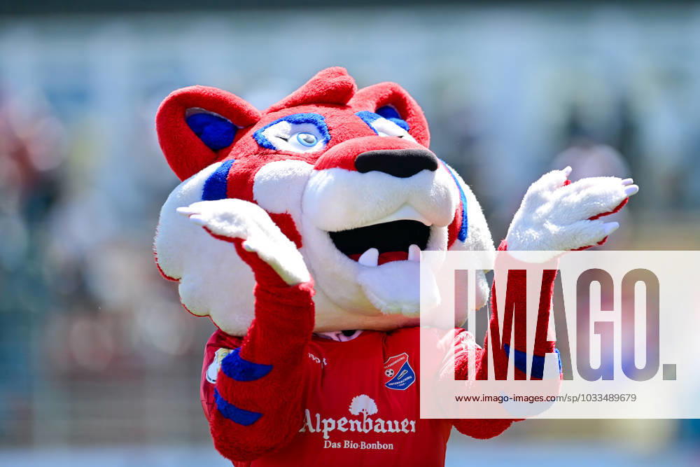 Unterhaching mascot FONSI cheers on the fans, single picture, action, 19 08 2023, Unterhaching Germany , Football, 3 Liga, SpVgg Unterhaching SSV ULM 1846 Football, DFB DFL REGULATES PROHIBIT ANY USE OF PHOTOGRAPHS AS IMAGE SEQUENCES AND OR QUASI VIDEO