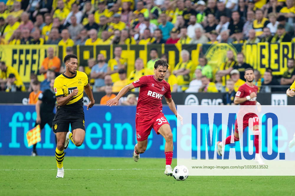 1 Bundesliga, 1 Spieltag Borussia Dortmund 1 FC Koeln, Dortmund, Signal Iduna Park, 19 08 2023 Max Finkgraefe 1 FC Koeln, 35 1 Bundesliga, 1 Spieltag Borussia Dortmund 1 FC Koeln, Dortmund, Signal Iduna Park, 19 08 2023 DFL Regulations prohibit any of use of photographs as image sequences and quasi video