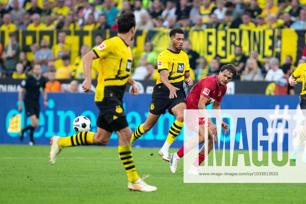 1 Bundesliga, 1 Spieltag Borussia Dortmund 1 FC Koeln, Dortmund, Signal Iduna Park, 19 08 2023 Max Finkgraefe 1 FC Koeln, 35 1 Bundesliga, 1 Spieltag Borussia Dortmund 1 FC Koeln, Dortmund, Signal Iduna Park, 19 08 2023 DFL Regulations prohibit any of use of photographs as image sequences and quasi video