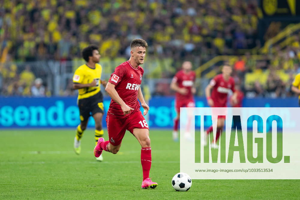 1 Bundesliga, 1 Matchday Borussia Dortmund 1 FC Koeln, Dortmund, Signal Iduna Park, 19 08 2023 Rasmus Carstensen 1 FC Koeln 1 Bundesliga, 1 Matchday Borussia Dortmund 1 FC Koeln, Dortmund, Signal Iduna Park, 19 08 2023 DFL Regulations prohibit any of use of photographs as image sequences and quasi video