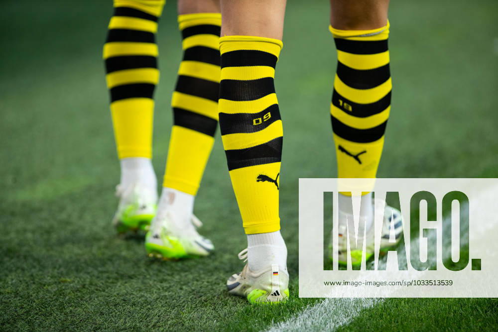 1 Bundesliga, 1 Spieltag Borussia Dortmund 1 FC Koeln, Dortmund, Signal Iduna Park, 19 08 2023 1 Bundesliga, 1 Spieltag Borussia Dortmund 1 FC Koeln, Dortmund, Signal Iduna Park, 19 08 2023 DFL Regulations prohibit any of use of photographs as image sequences and quasi video