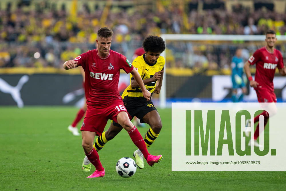 1 Bundesliga, 1 Matchday Borussia Dortmund 1 FC Koeln, Dortmund, Signal Iduna Park, 19 08 2023 Rasmus Carstensen 1 FC Koeln 1 Bundesliga, 1 Matchday Borussia Dortmund 1 FC Koeln, Dortmund, Signal Iduna Park, 19 08 2023 DFL Regulations prohibit any of use of photographs as image sequences and quasi video