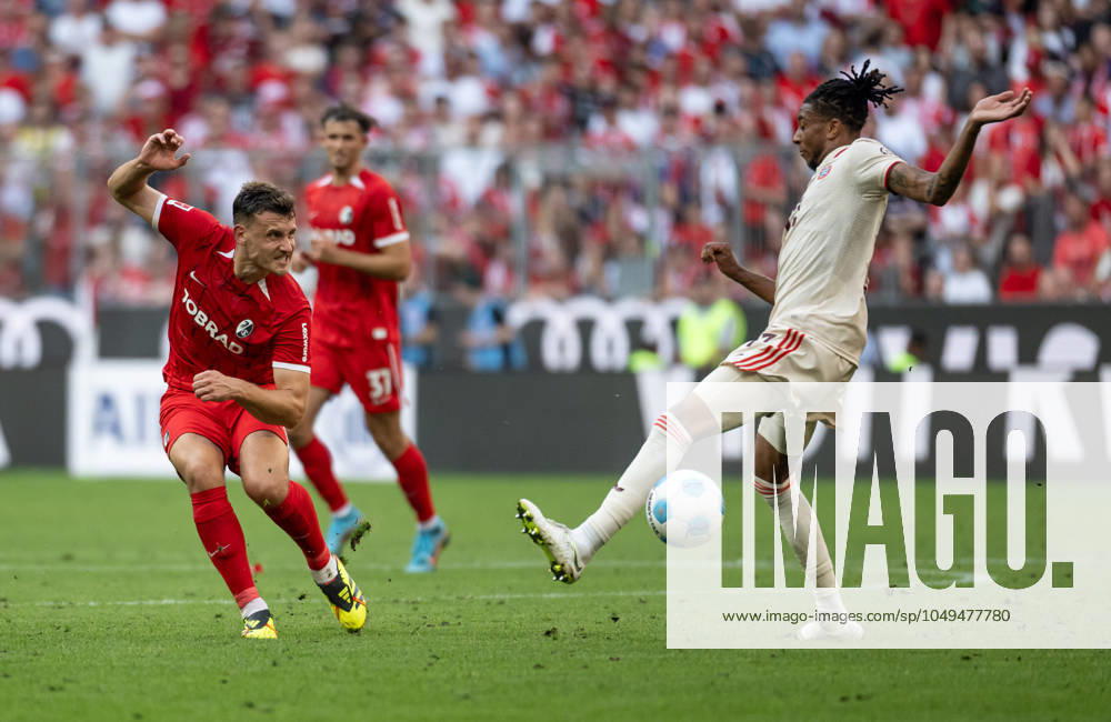 Maximilian Eggestein SC Freiburg, 8 and Michael Olise FC Bayern Muenchen, 17 GER, FC Bayern Muenchen vs SC Freiburg Football, Bundesliga, Matchday 2, Season 2024 2025, 01 09 2024 GER, FC Bayern Muenchen vs SC Freiburg Football, Bundesliga, Matchday 2, Season 2024 2025, 01 09 2024 Muenchen
