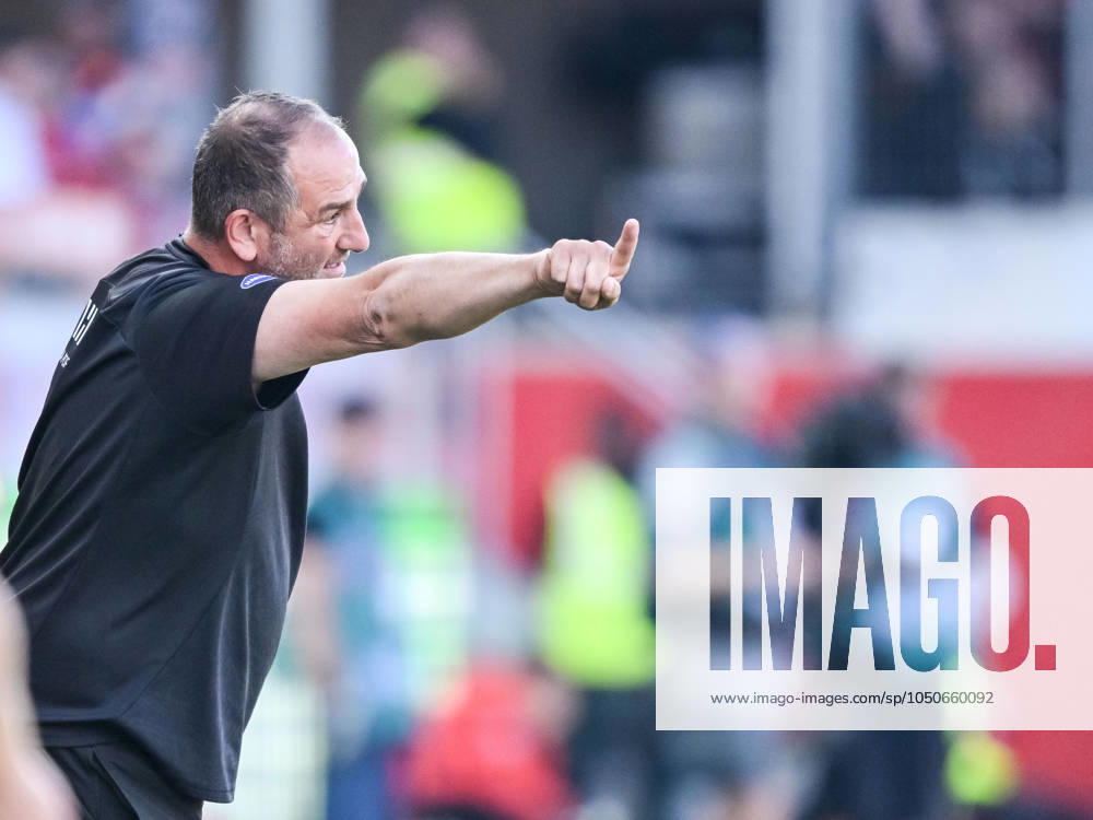 Coach Frank Schmidt 1 FC Heidenheim gestures during the Bundesliga match between 1 FC Heidenheim 1846 and SC Freiburg at Voith Arena on September 21, 2024 in Heidenheim, Germany Photo by Harry Langer DeFodi Images Trainer Frank Schmidt 1 FC Heidenheim gestures during the Bundesliga match between 1 FC Heidenheim 1846 and SC Freiburg at Voith Arena on September 21, 2024 in Heidenheim, Germany Photo by Harry Langer DeFodi Images DFL regulations prohibit any use of photographs as image sequences and or quasi video Defodi 541 FCHSCF20240920 039 Defodi-541 DFL regulations prohibit any use of photographs as image sequences and or quasi-video.